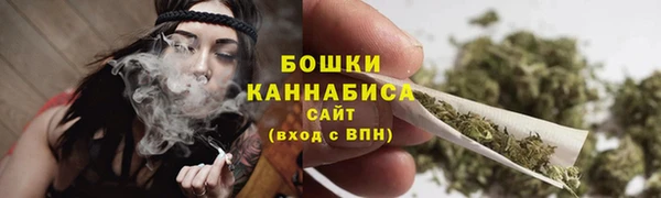 индика Краснослободск