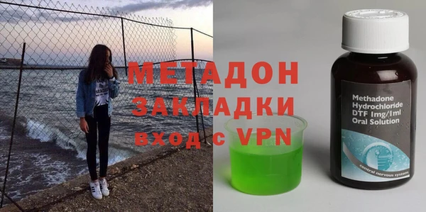 индика Краснослободск