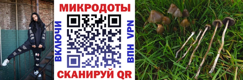 Галлюциногенные грибы Cubensis  Александровское 